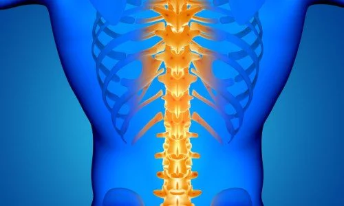 Как се възстановява хрущялната тъкан на гръбначния стълб?