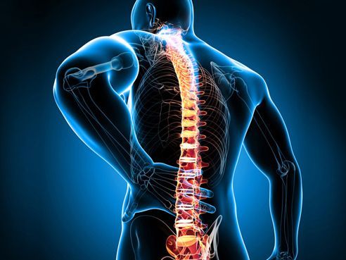 Мануалната терапия помага при болести на гръбначния стълб