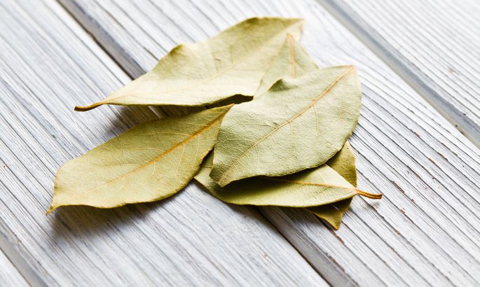 Тинктура от дафинов лист помага при болка в ставите - рецепта.